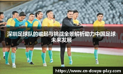 深圳足球队的崛起与挑战全景解析助力中国足球未来发展